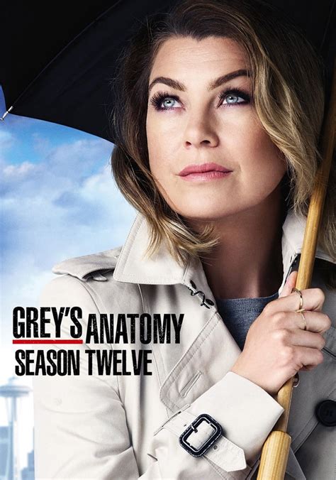 Where to stream grey's anatomy. Things To Know About Where to stream grey's anatomy. 